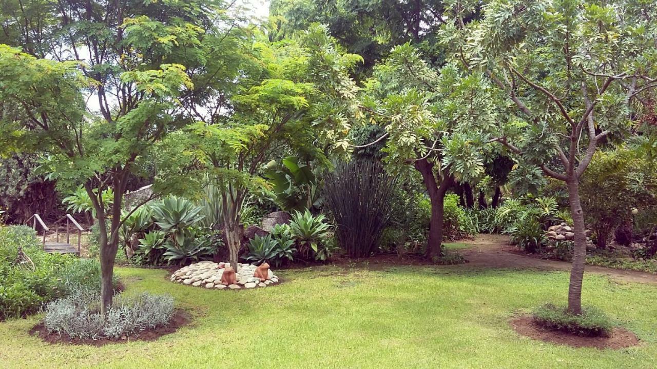 Beyond Cui Bono Guesthouse Addo Luaran gambar