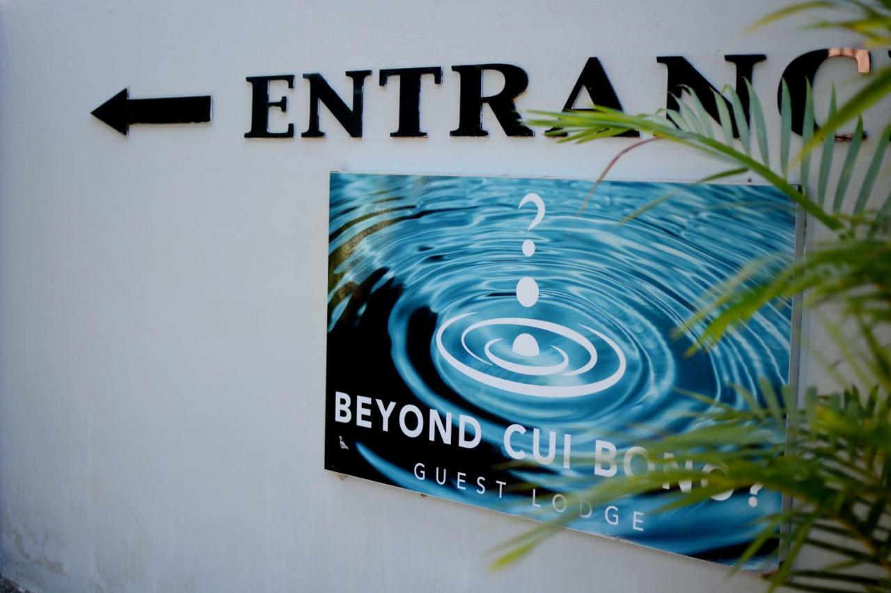 Beyond Cui Bono Guesthouse Addo Luaran gambar