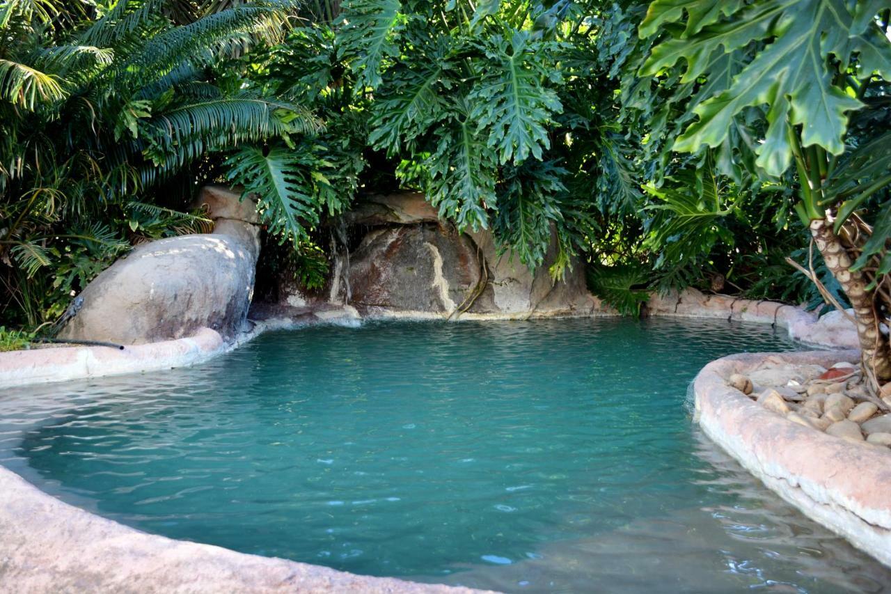 Beyond Cui Bono Guesthouse Addo Luaran gambar