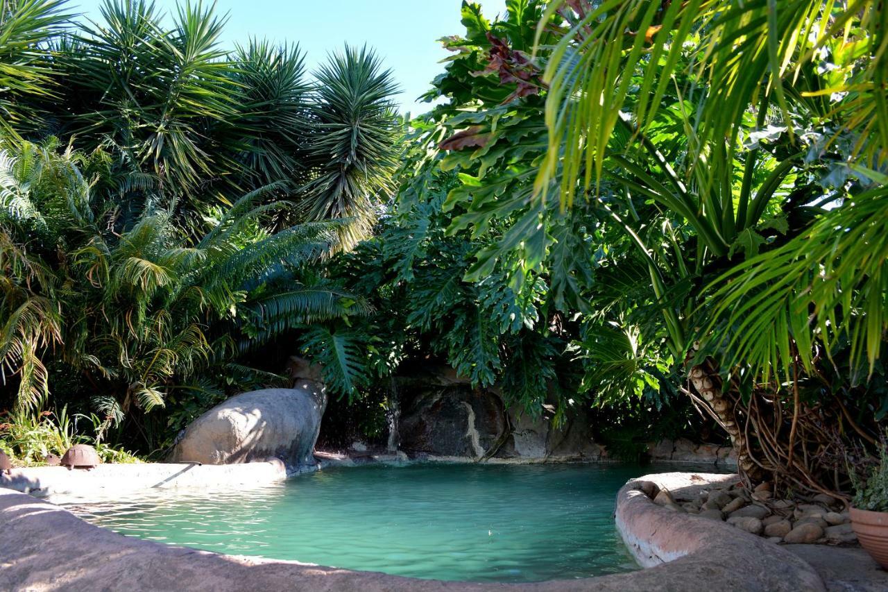 Beyond Cui Bono Guesthouse Addo Luaran gambar